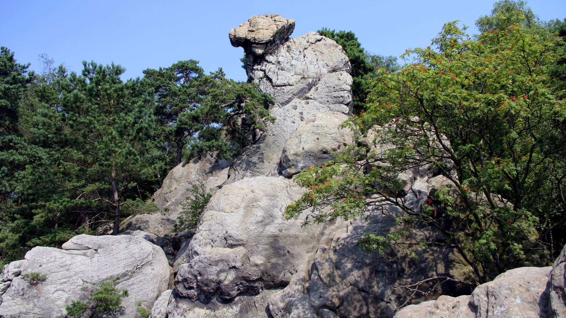 Teutoschleifen Premiumwanderwege